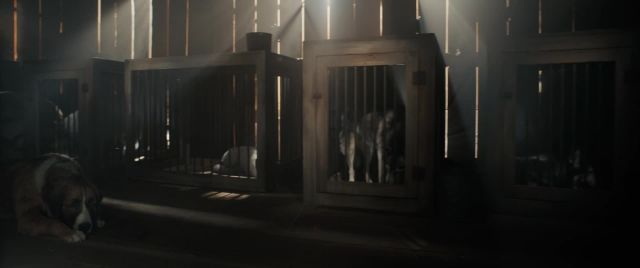 The Call of the Wild (2020) เสียงเพรียกจากพงไพร