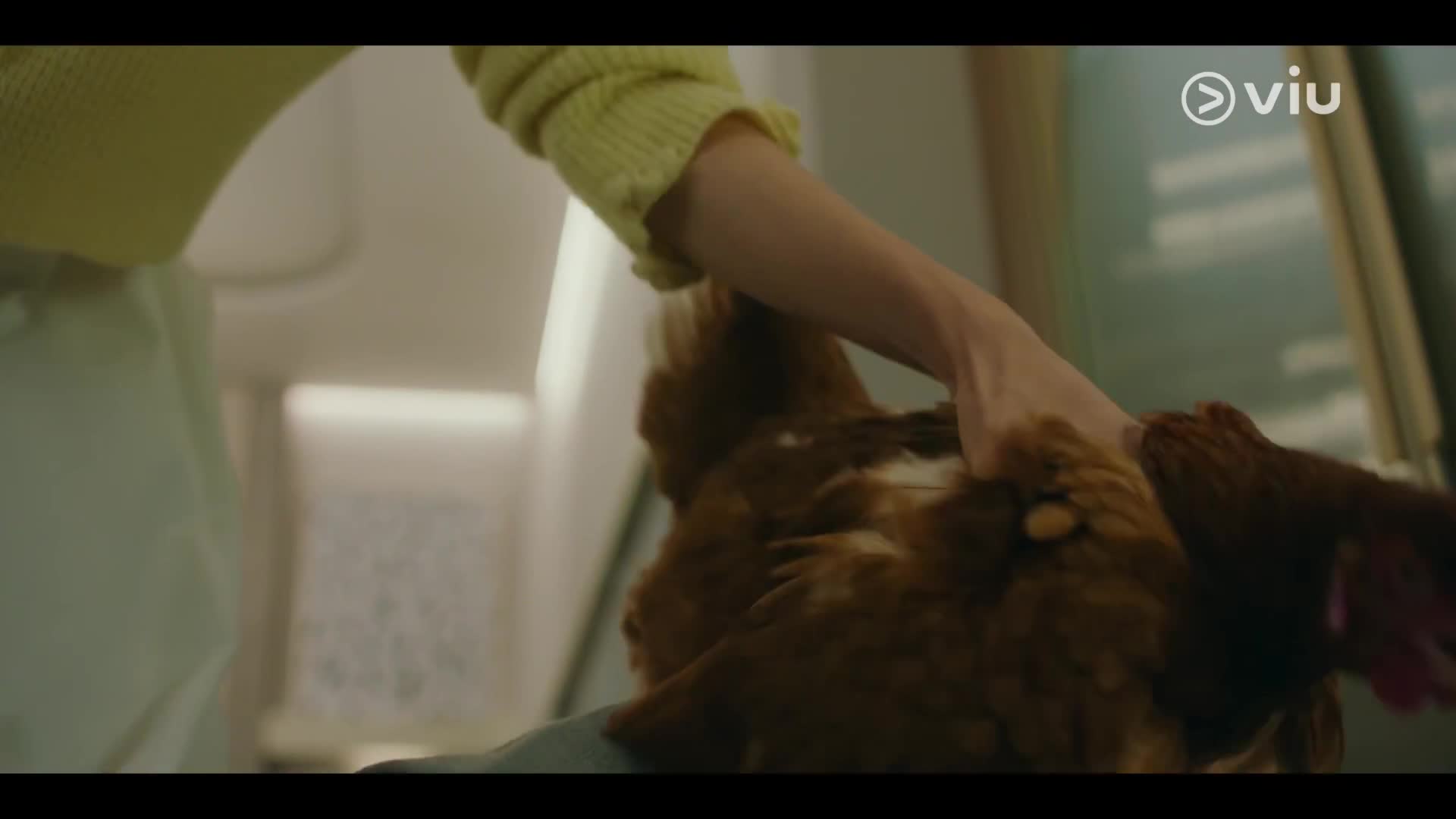 The Story of Park’s Marriage Contract - EP06