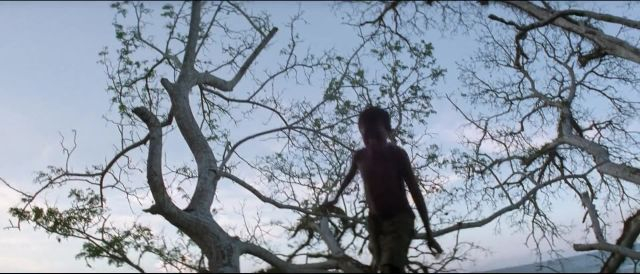 The Thin Red Line (1998) เดอะ ทิน เรด ไลน์ ฝ่านรกยึดเส้นตาย